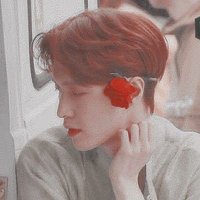 ROSE (@iris1485_l) 's Twitter Profile