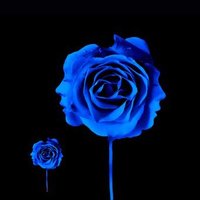 Marie 🇺🇸🗽🌊🦅 True Blue (@merrirrro) 's Twitter Profile