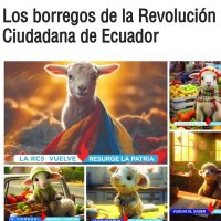 Bolo Hernandez (@bolohernandez6) 's Twitter Profile
