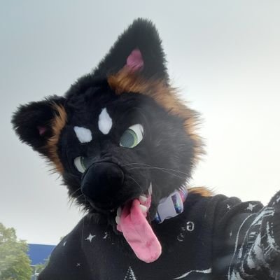 25 || he/him || bark i think || sometimes nsfw🔞 || music&photo & random retweets ||🏡🇺🇦 || un techno chien || taken ||🪡:@FoxKismet