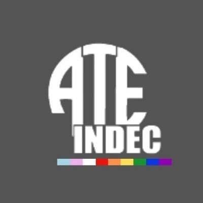 ATEIndec Profile Picture