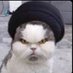 khomeini felina 🇮🇷🇮🇷🇮🇷 Profile picture