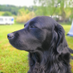 Marcel Hogeveen (@hogeveenma35395) Twitter profile photo Marcel Hogeveen (@hogeveenma35395) Twitter profile photo