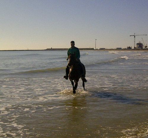 albert_miro's profile picture. 