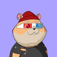 CryptoHamster 💙 De.Fi Army(@cryptoHamster06) 's Twitter Profile Photo
