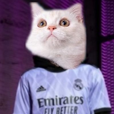🇹🇷Moka mais en chat oui/@M10
@cristiano les goats depuis tjr/chuis un chien toxique ici
lâche sa 😹🫵🫵🫵