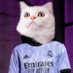 Poka le goat 🇹🇷 (@piffle90) Twitter profile photo Poka le goat 🇹🇷 (@piffle90) Twitter profile photo
