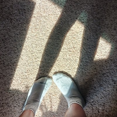 Johnnykins5's profile picture. duhduhduhduhdiamonds
duhduhduhduhdancefloors