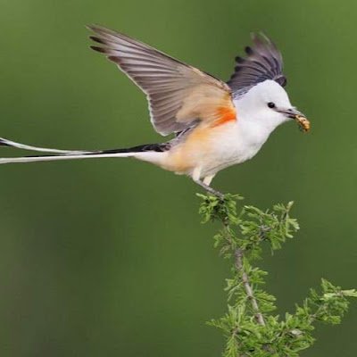 B221264Be's profile picture. 