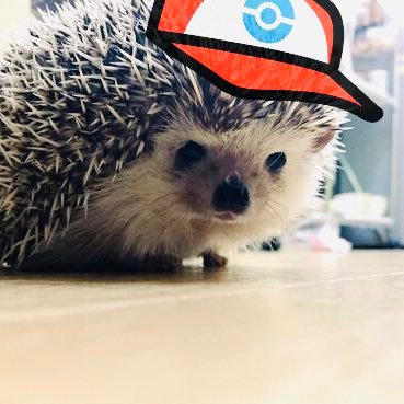 みそさんのプロフィール画像