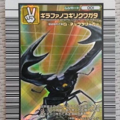tpmdpmgtj's profile picture. 