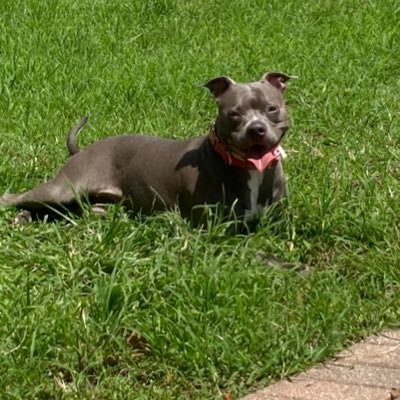 // Twitch @ChickieTendy //21 // Female // affiliated //