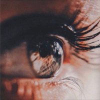 ابوفيصل (@almuzaree) 's Twitter Profile Photo