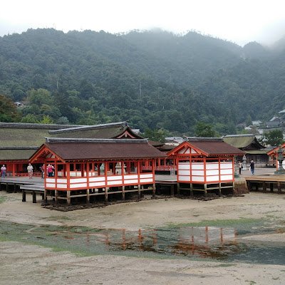 VuongTrungVu's profile picture. Kinh doanh tự do