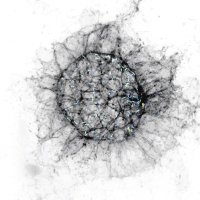 Blatt BioImaging Center (@su_bioimaging) 's Twitter Profile