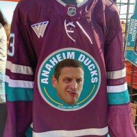 I Rink You Should Leave (@nhlleave) 's Twitter Profile