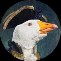 Goose(@sir12302) 's Twitter Profile Photo