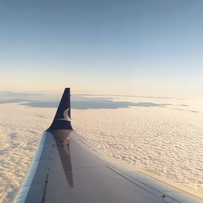 Mnalbat4's profile picture. 