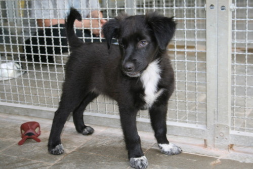 valentinarozzan's profile picture. 