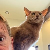 Jim Kloss’s Cat “smartest cat in pickleball” (@jimklosskat) 's Twitter Profile