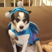 Barry B (@barryofsocal) Twitter profile photo