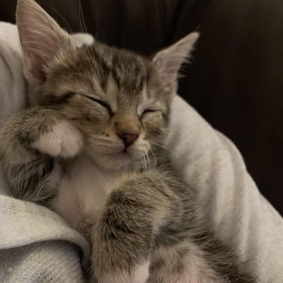 dionee_dii's profile picture. #6CODE #maxkybas ด้อมข้างเคียง #skynani