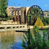 qwqr01's profile picture. 