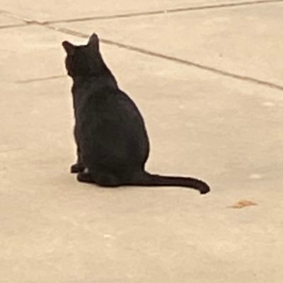 The_Mo_Knows's profile picture. 