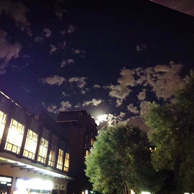 audrina_ca49985's profile picture. 