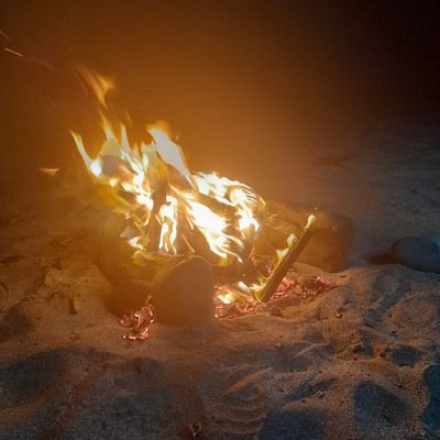 escorpion131178's profile picture. 