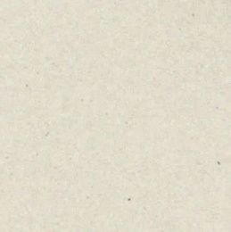 ptts03's profile picture. 🪼