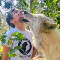 Awoo Expert ๐ (@thebigbiwolf) 's Twitter Profile