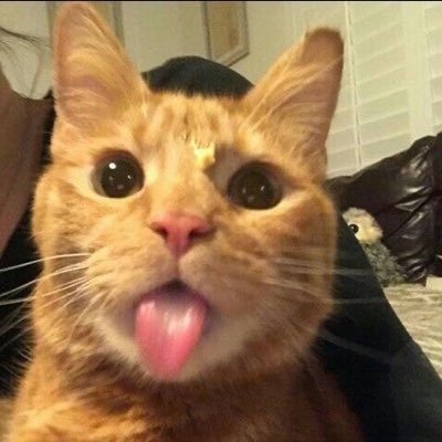 fartfartfart01's profile picture. 