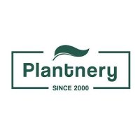 Plantnery(@plantnery_th) 's Twitter Profile Photo