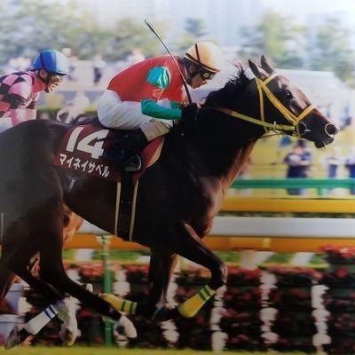 ペンネーム佐幌俊正✏️一口馬主をしていた時の、自慢の愛馬はマイネイサベル🐴日本史好きで歴史学科卒、社会科を教える仕事💡マニアック競馬ファン、近年は地方競馬寄り。谷中公一元騎手を20年以上応援✨浦和工藤厩舎、中島良美騎手。船橋齊藤厩舎大津剛調教師補佐。岩手小林凌騎手。JRA水野貴広厩舎、武藤雅騎手、大庭和弥騎手応援✌