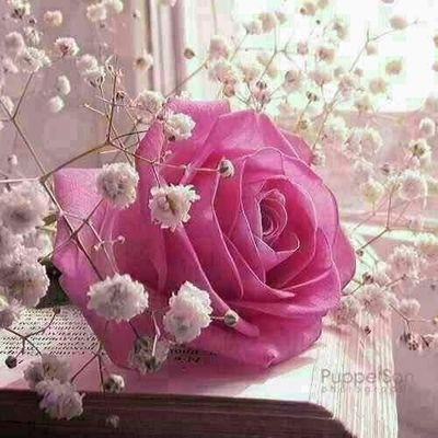 RezaEbr888's profile picture. Tomorrow is your today that you made yesterday.