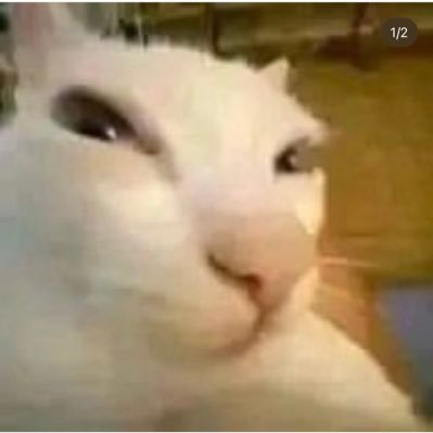 PurgatoryofPity's profile picture. idk anymore dude