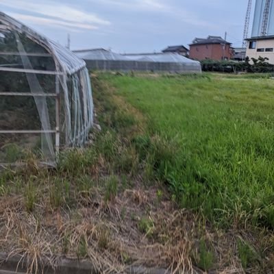 dayexiaoch32708's profile picture. 