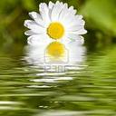 Josée Martel - @JoseMartel2 - Twitter