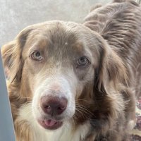 Mooniepie🌝 (@crystalolivar11) 's Twitter Profile