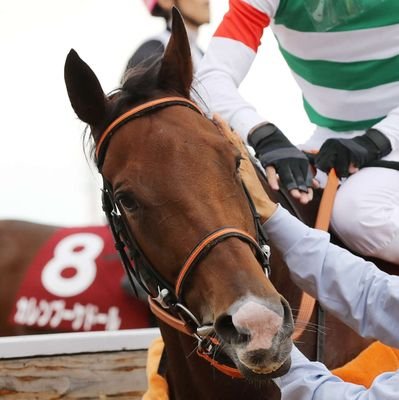 昭和63年の天皇賞・春、タマモクロスを見てから競馬にハマったおじさんです。
キャロット一筋。現在の出資馬。
ライトウォーリア、パルクリチュード、ラレーヌデリス、アンドアイラヴハー、ピュアスマイル、イリディセント、スパルティート、ヴィジブルライト