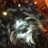 RunChi's profile image