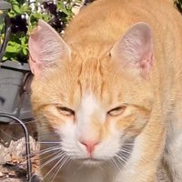 dirtycabron (@dirtycabron) 's Twitter Profile Photo dirtycabron (@dirtycabron) 's Twitter Profile Photo