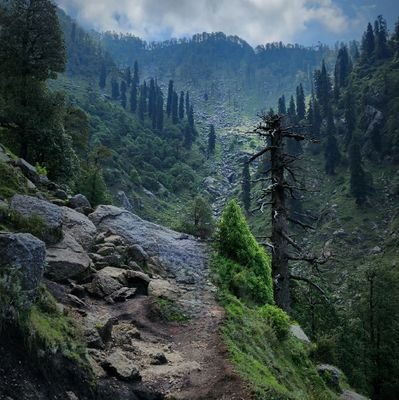 Pankaj0705sh's profile picture. PITAMBRA MOBILES