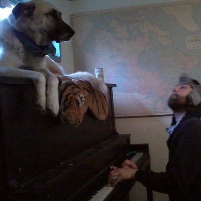 FlannelorPlaid's profile picture. Don't touch my dog, he died 3 years ago but he still bites.