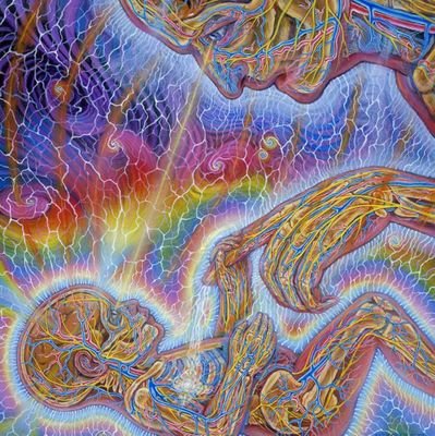 Houssei33573062's profile picture. Sarcasm.