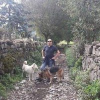 David 🇪🇦 (@david77327278) 's Twitter Profile