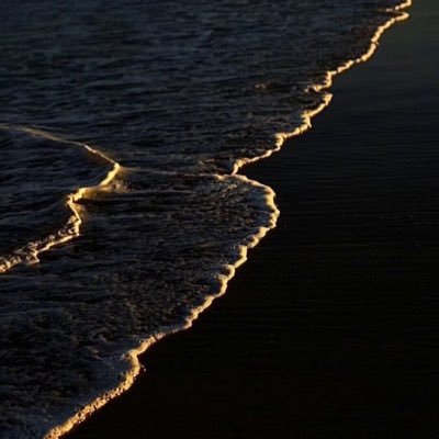 aokaf_sl's profile picture. “生きるのが精一杯だ。”