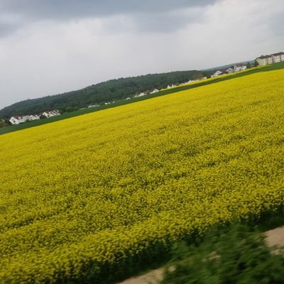 panik1881's profile picture. 