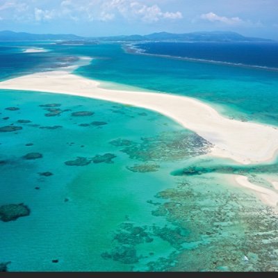 OyB2RZgf5DAM255's profile picture. 